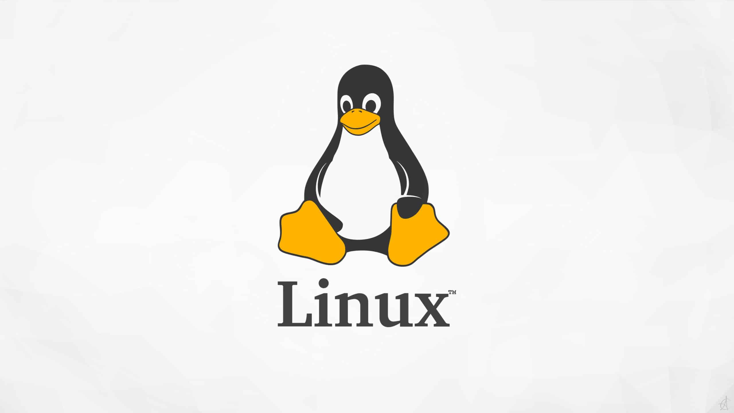 Linux连接数优化
